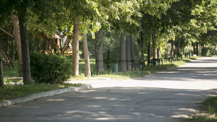 Se scaldă în râul Nistru şi fac băi de soare. Odihna de vară, în toi pe plaja de la Vadul lui Vodă (FOTOREPORT)