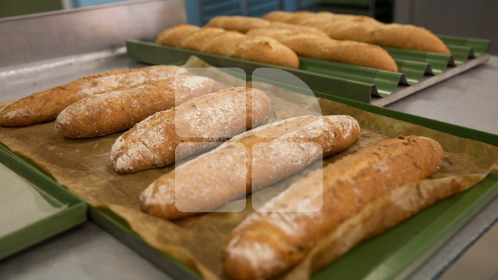 Delicii italiene la Cimişlia. 12 persoane au învăţat secretele patiseriei şi brutăriei de la un bucătar din Italia (FOTOREPORT)