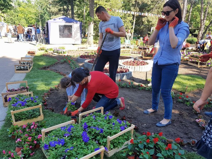 Silvia Radu a plantat un covor din flori în parcul Ștefan ce Mare în cadrul campaniei Fă ceva bun pentru Chișinău (FOTO)