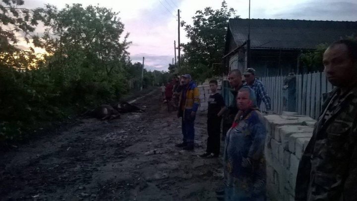 Ploaia cu grindină a făcut ravagii în raionul Căuşeni. Experţii vor evalua pagubele provocate de calamitate