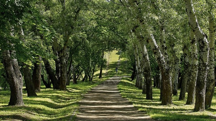 Studiu: O treime dintre zonele protejate ale lumii sunt ameninţate de activităţile umane