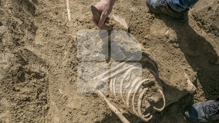 Noi descoperiri arheologice la Costești. Specialiştii au găsit schelete din perioada medievală (FOTOREPORT)