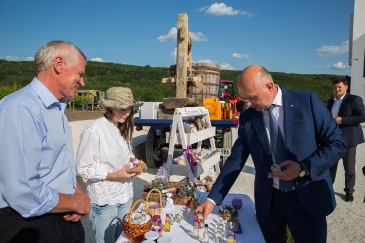 Cei mai buni producători agricoli din ţara noastră au fost premiaţi de AIPA