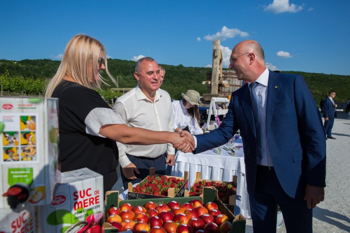 Cei mai buni producători agricoli din ţara noastră au fost premiaţi de AIPA