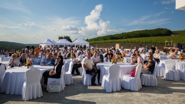 Cei mai buni producători agricoli din ţara noastră au fost premiaţi de AIPA