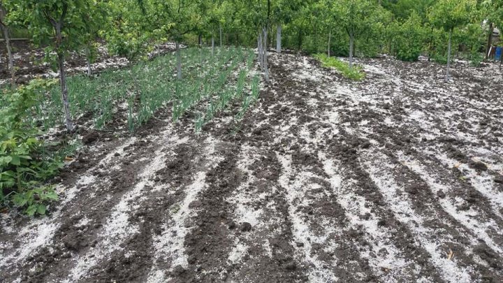 Grindina a făcut ravagii în Călăraşi şi Anenii Noi. Au fost distruse şi drumurile din sat (FOTO)