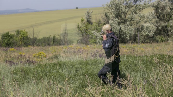 Cei mai bravi poliţişti de frontieră au primit astăzi BERETA DE ONOARE (FOTOREPORT)