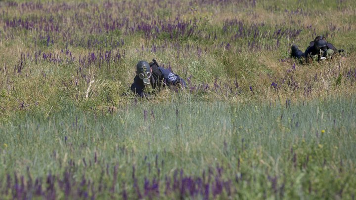 Cei mai bravi poliţişti de frontieră au primit astăzi BERETA DE ONOARE (FOTOREPORT)