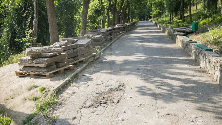 VESTE BUNĂ! Cele 200 de scări de granit din parcul Valea Morilor au început să fie renovate (FOTOREPORT)