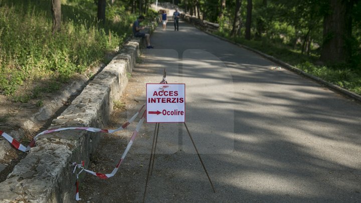 VESTE BUNĂ! Cele 200 de scări de granit din parcul Valea Morilor au început să fie renovate (FOTOREPORT)