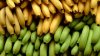 Ce se întâmplă cu organismul tău dacă mănânci banane verzi