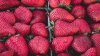 SIGUR NU ŞTIAI ASTA! Cum păstrezi căpșunile proaspete mai mult timp