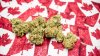 Rusia condamnă decizia Canadei de a legaliza fumatul recreațional de marijuana