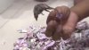 BANCNOTE FĂCUTE CONFETTI! Un şoarece a distrus 15 mii de euro dintr-un bancomat