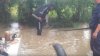 Consecinţele ploilor din weekend: Poduri distruse şi mai multe gospodării inundate