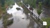 Râul Bâc a ieşit din matcă. Inundaţii pe strada Albişoara (VIDEO)