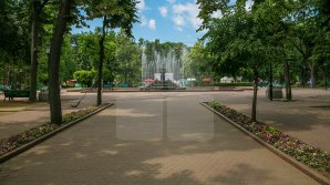 METEO 20 IUNIE 2018: Vreme bună şi cer variabil în toată ţara. Canicula este tot mai resimţită