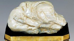 Cea mai mare perlă naturală de apă dulce din lume a fost vândută la licitaţie