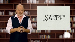DE VORBĂ DESPRE VORBE cu Vsevolod Cernei. Întrebuinţarea corectă a cuvântului şarpe (VIDEO)