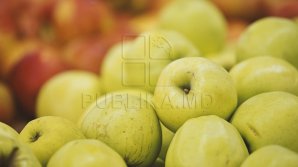 Pentru prima dată Republica Moldova în topul celor mai mari exportatori de mere