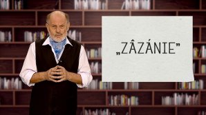 DE VORBĂ DESPRE VORBE cu Vsevolod Cernei. Originea şi sensul cuvântului zâzanie (VIDEO)