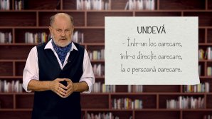 DE VORBĂ DESPRE VORBE cu Vsevolod Cernei. Când şi cum folosim adverbul undeva (VIDEO) 
