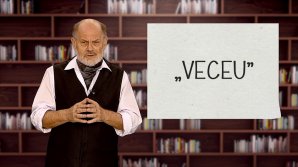 DE VORBĂ DESPRE VORBE cu Vsevolod Cernei. Întrebuinţarea corectă a cuvântului veceu