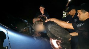 Doi bărbaţi reţinuţi pentru trecerea ilegală a frontierei. Unul dintre ei, dat în căutare de Interpol (FOTO)