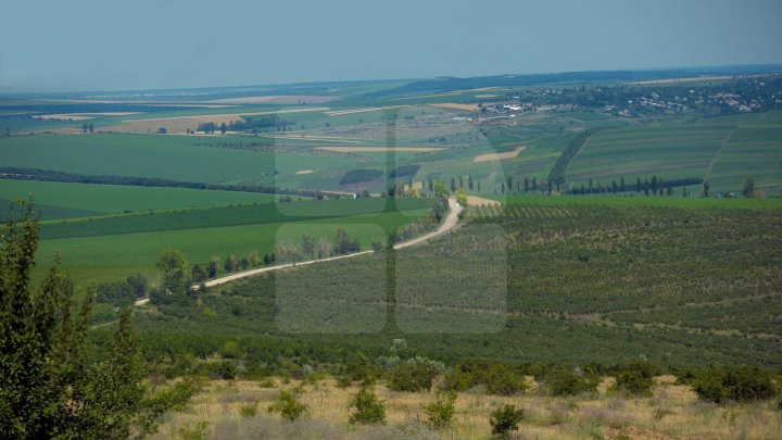 SURPRIZE DE LA METEO: Cum va fi vremea în weekend