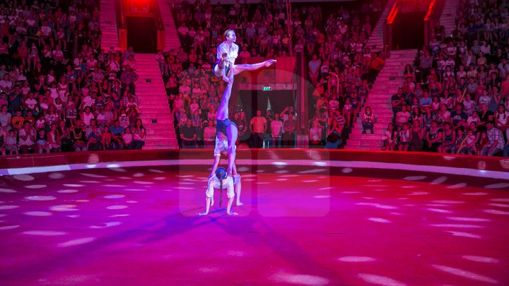 SPECTACOL DE EXCEPŢIE la circul din Capitală pentru 1.300 de copii din familii sărace şi internate (FOTOREPORT)