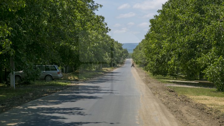 DRUMURI BUNE LA UNGHENI! Până la sfârșitul verii vor fi renovate 99 de tronsoane (FOTOREPORT)