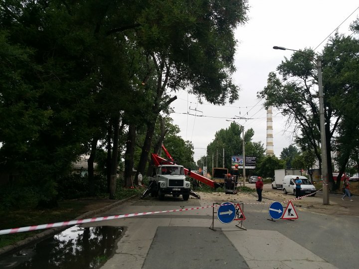 Muncitorii de la spatii verzi au inceput lucrările de curăţare a arborilor din preajma Uzinelor. Troleibuzul nr. 13 nu va circula până la orele amiezii (VIDEO)