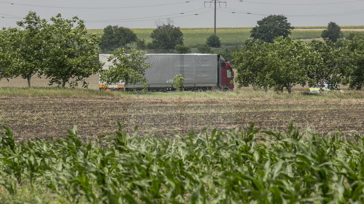 Ultimul lot de pesticide colectate în cadrul proiectului NATO a fost evacuat de pe teritoriul Moldovei (FOTOREPORT)