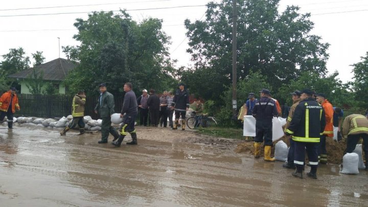 Consecinţele ploii torenţiale: Apa a pătruns în beciurile şi ogrăzile a zece familii din satul Gherman (FOTO)