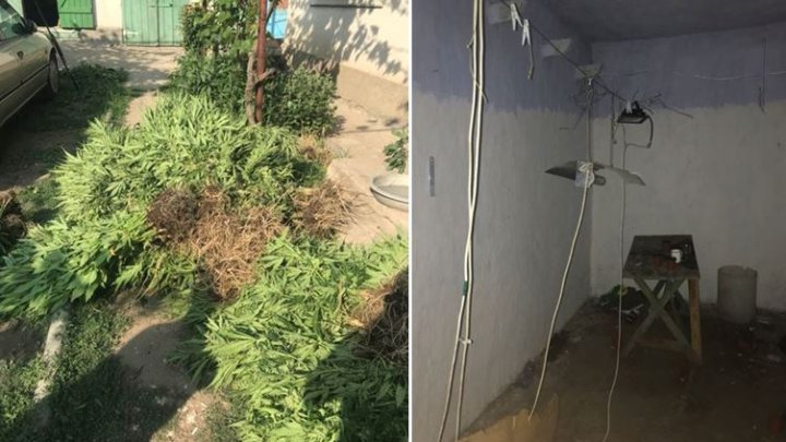 ARME şi DROGURI la Cahul. Doi traficanţi de narcotice, reţinuţi în urma unor raiduri a poliţiei (FOTO)