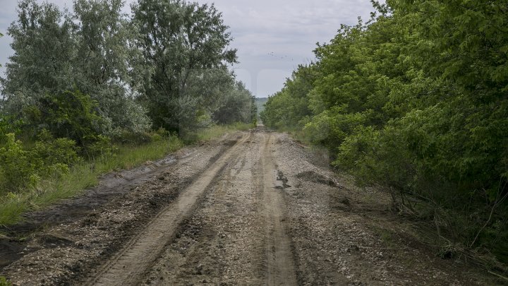 Culturi distruse, case ruinate şi pagube de sute de mii de lei. PLOAIA TORENŢIALĂ a făcut PRĂPĂD în satul Ucrainca, Căuşeni (FOTO)