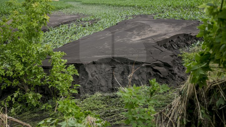 Culturi distruse, case ruinate şi pagube de sute de mii de lei. PLOAIA TORENŢIALĂ a făcut PRĂPĂD în satul Ucrainca, Căuşeni (FOTO)