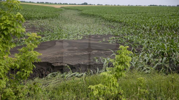 Culturi distruse, case ruinate şi pagube de sute de mii de lei. PLOAIA TORENŢIALĂ a făcut PRĂPĂD în satul Ucrainca, Căuşeni (FOTO)