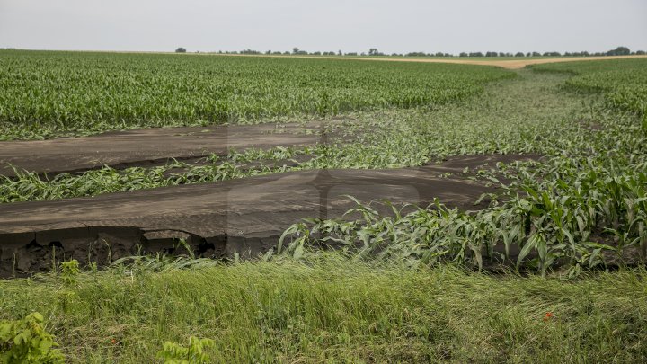 Culturi distruse, case ruinate şi pagube de sute de mii de lei. PLOAIA TORENŢIALĂ a făcut PRĂPĂD în satul Ucrainca, Căuşeni (FOTO)