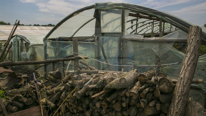 Culturi distruse, case ruinate şi pagube de sute de mii de lei. PLOAIA TORENŢIALĂ a făcut PRĂPĂD în satul Ucrainca, Căuşeni (FOTO)