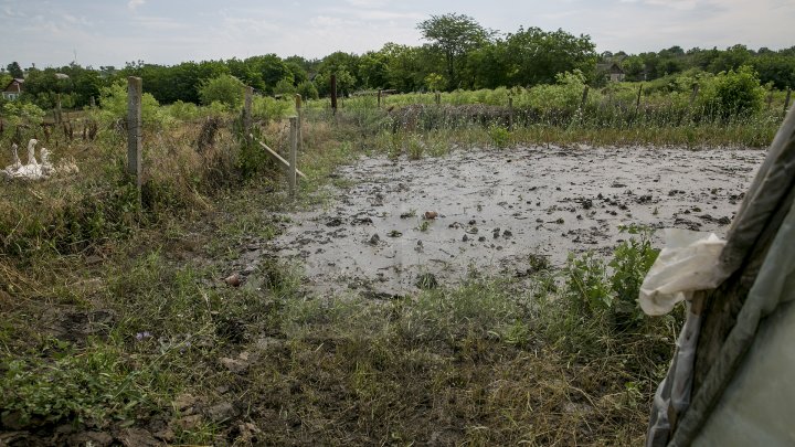 Culturi distruse, case ruinate şi pagube de sute de mii de lei. PLOAIA TORENŢIALĂ a făcut PRĂPĂD în satul Ucrainca, Căuşeni (FOTO)