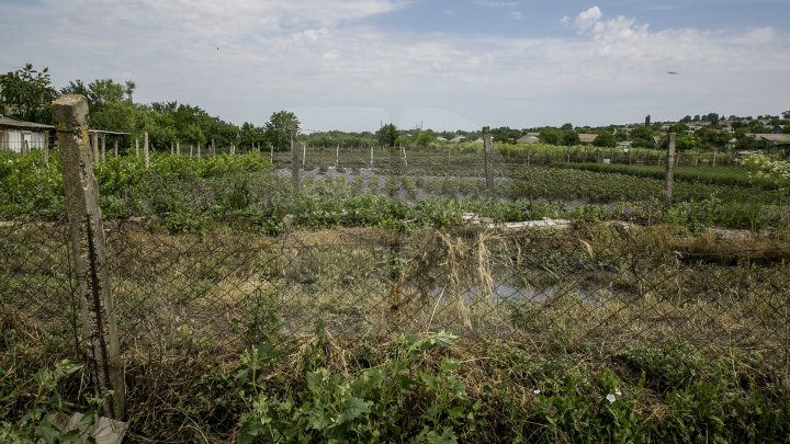 Ploile au făcut ravagii în ţară: Peste 200 de hectare de culturi distruse şi zeci de grădini inundate