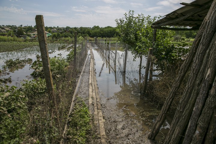 Culturi distruse, case ruinate şi pagube de sute de mii de lei. PLOAIA TORENŢIALĂ a făcut PRĂPĂD în satul Ucrainca, Căuşeni (FOTO)