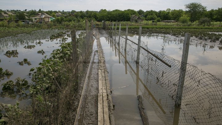 Culturi distruse, case ruinate şi pagube de sute de mii de lei. PLOAIA TORENŢIALĂ a făcut PRĂPĂD în satul Ucrainca, Căuşeni (FOTO)