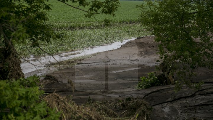 Culturi distruse, case ruinate şi pagube de sute de mii de lei. PLOAIA TORENŢIALĂ a făcut PRĂPĂD în satul Ucrainca, Căuşeni (FOTO)