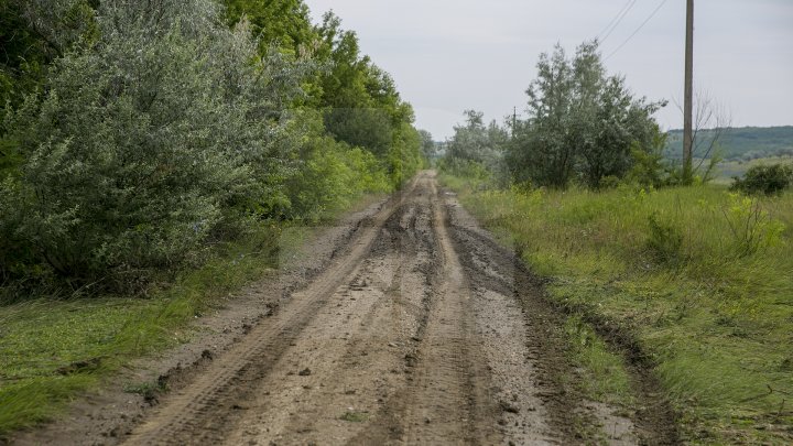 Culturi distruse, case ruinate şi pagube de sute de mii de lei. PLOAIA TORENŢIALĂ a făcut PRĂPĂD în satul Ucrainca, Căuşeni (FOTO)