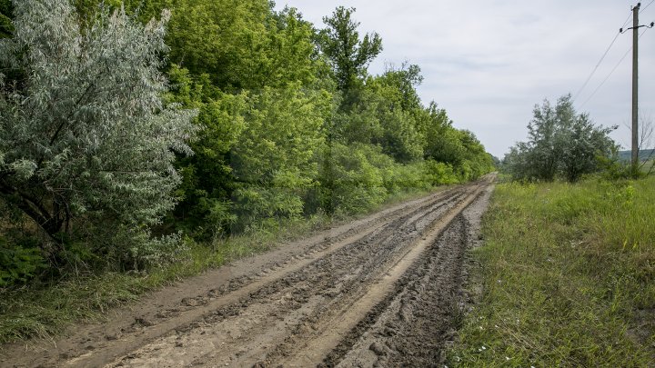 Culturi distruse, case ruinate şi pagube de sute de mii de lei. PLOAIA TORENŢIALĂ a făcut PRĂPĂD în satul Ucrainca, Căuşeni (FOTO)