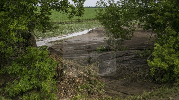 Culturi distruse, case ruinate şi pagube de sute de mii de lei. PLOAIA TORENŢIALĂ a făcut PRĂPĂD în satul Ucrainca, Căuşeni (FOTO)