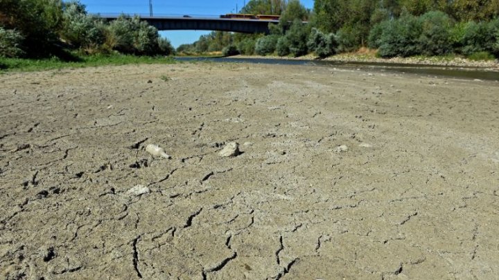 Stare de calamitate agricolă la scală naţională în Letonia din cauza secetei