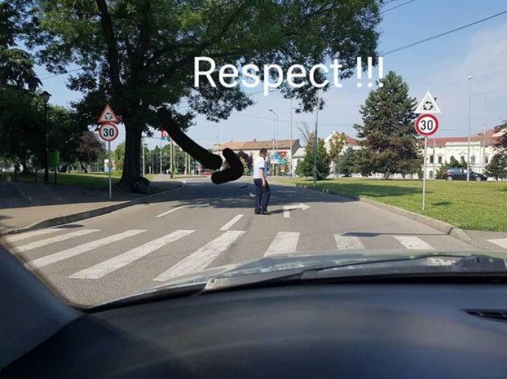 Emoţionant! Un poliţist a oprit traficul pe o stradă pentru a permite unor răţuşte să traverseze în siguranţă